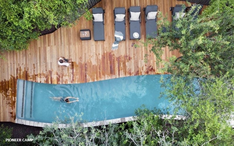 Londolozi Pioneer Camp 17